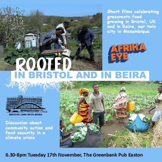 Rooted in Bristol and in Beira square 261005
